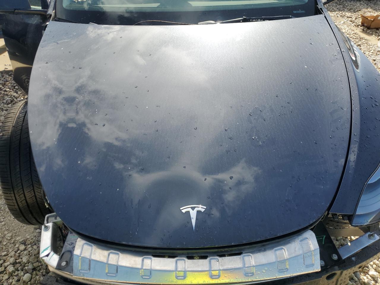 7SAYGDEE5RA234837 2024 Tesla Model Y