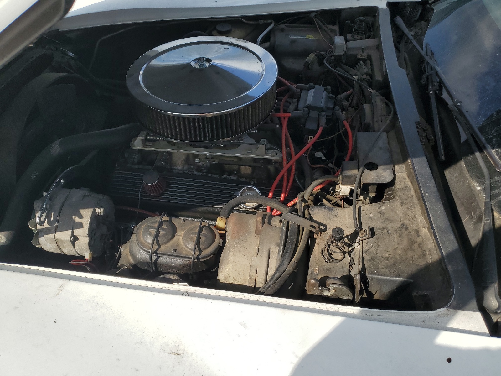 1G1AY8769BS421740 1981 Chevrolet Corvette