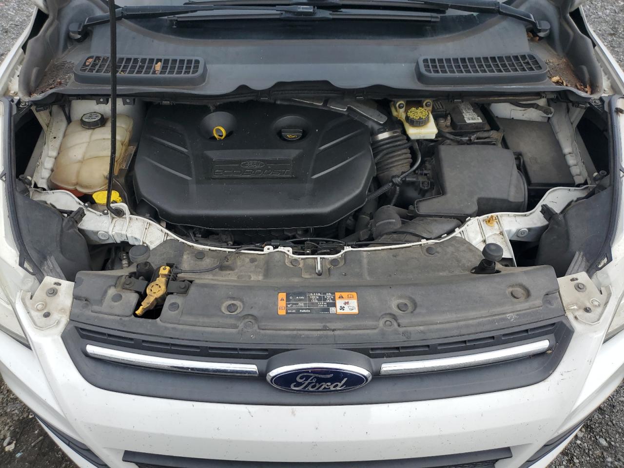 2013 Ford Escape Se VIN: 1FMCU9G96DUA18569 Lot: 64589494