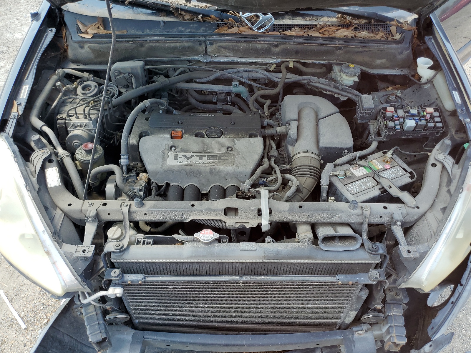 JHLRD78896C051943 2006 Honda Cr-V Ex