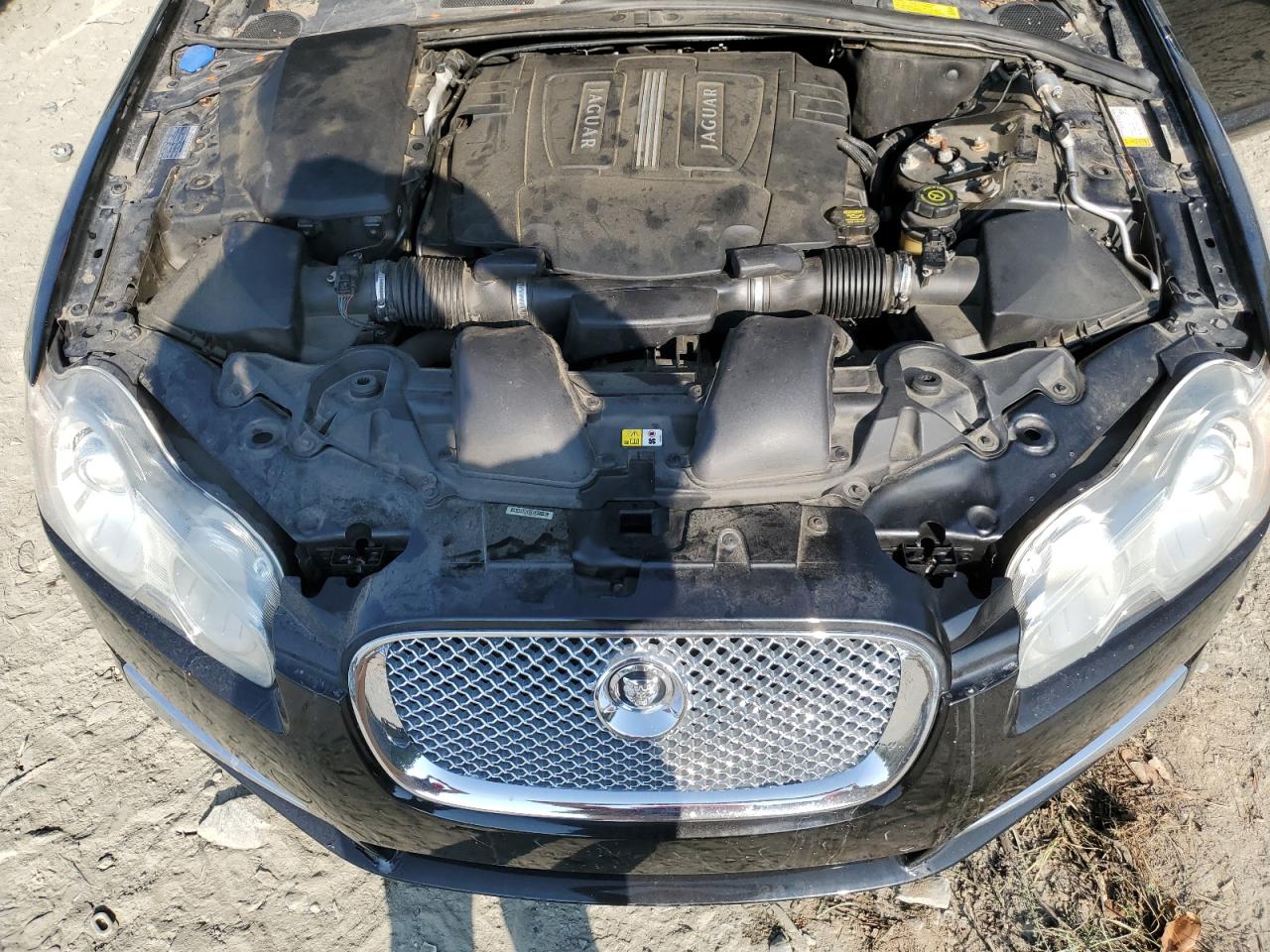 2011 Jaguar Xf Premium VIN: SAJWA0GB1BLS11192 Lot: 67706954