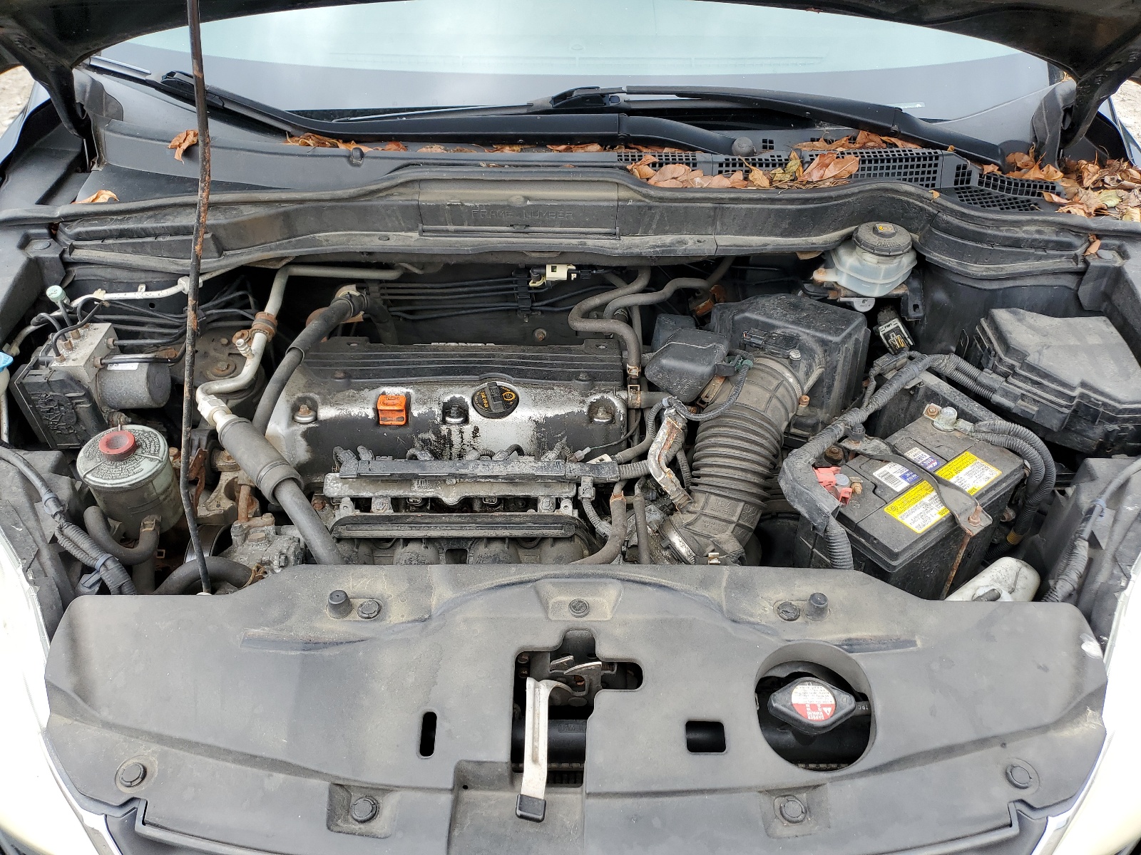 5J6RE4H30AL031810 2010 Honda Cr-V Lx