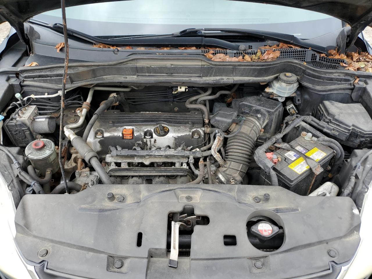 2010 Honda Cr-V Lx VIN: 5J6RE4H30AL031810 Lot: 66687754