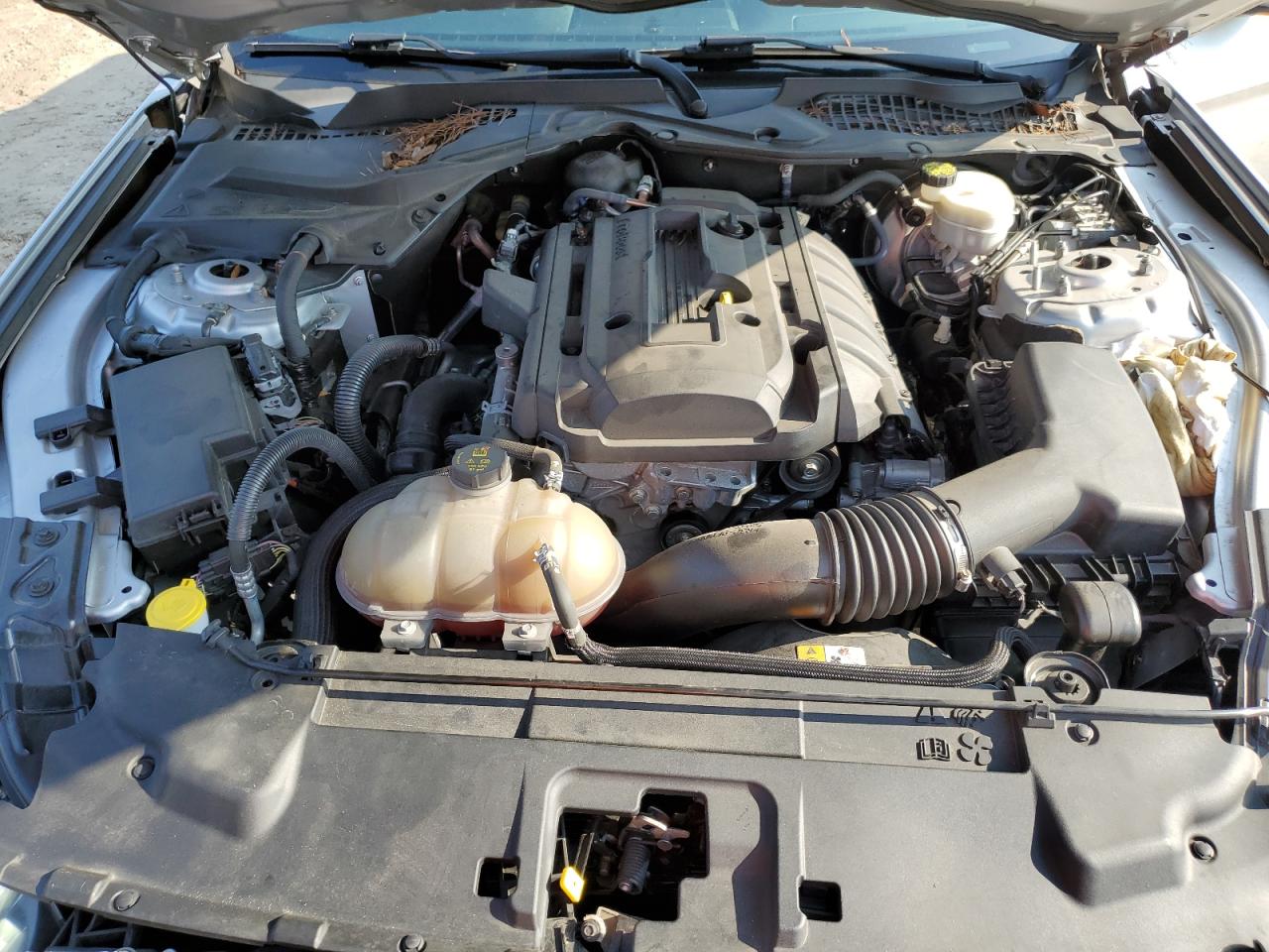 2018 Ford Mustang VIN: 1FA6P8THXJ5106665 Lot: 66060164