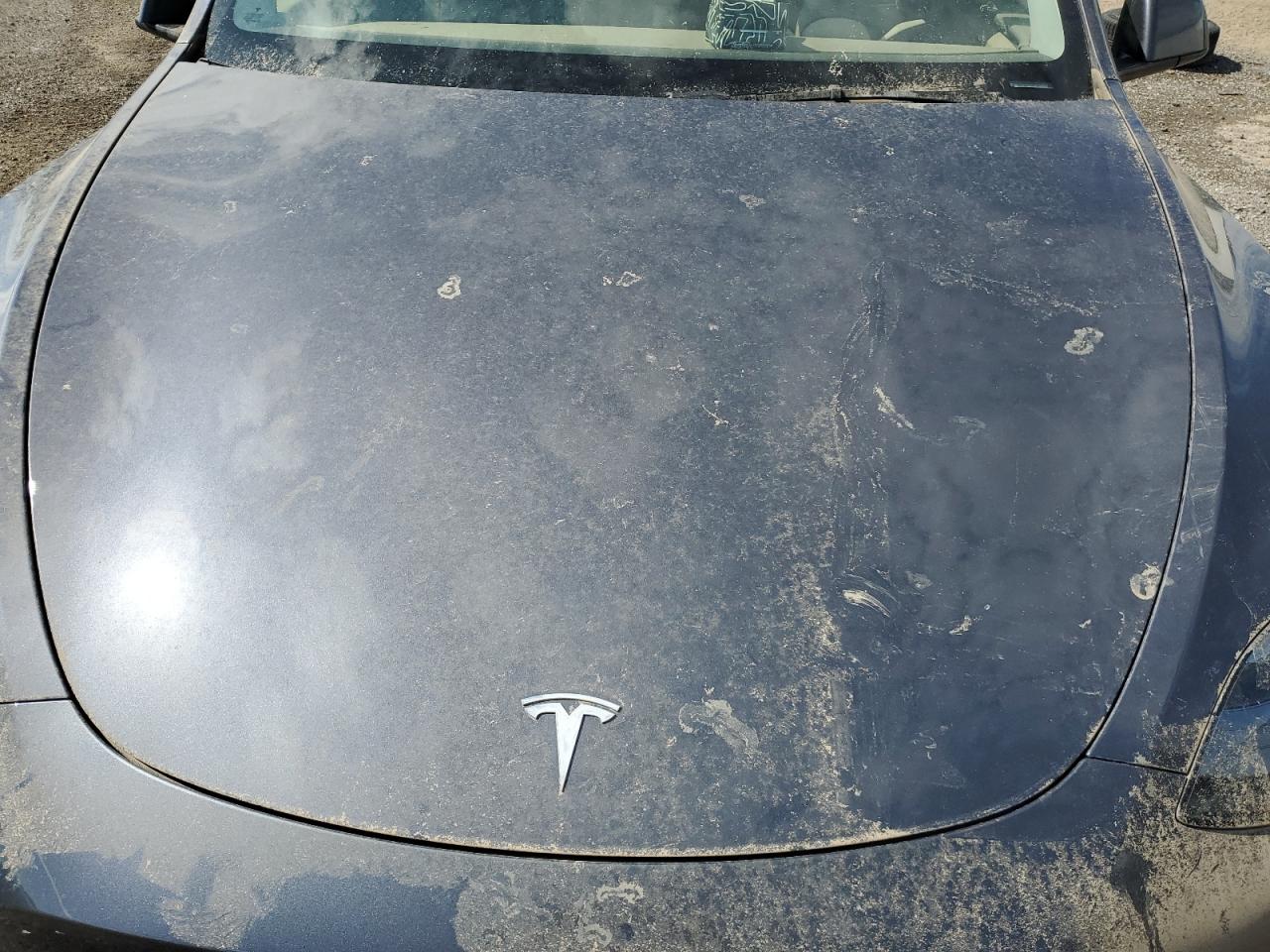 LRWYGDFD3PC938807 2023 Tesla Model Y