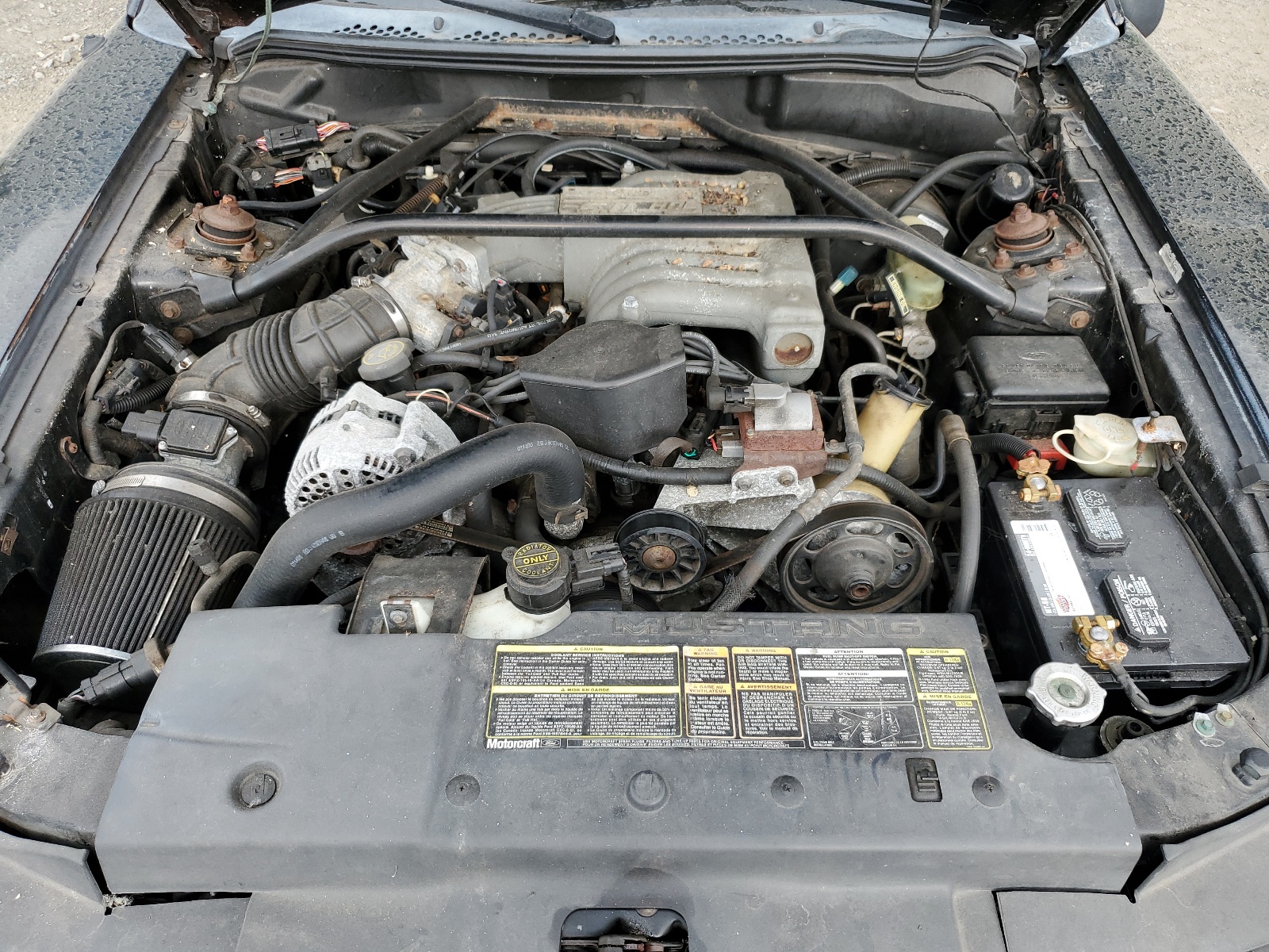 1FALP45T0SF231537 1995 Ford Mustang Gt