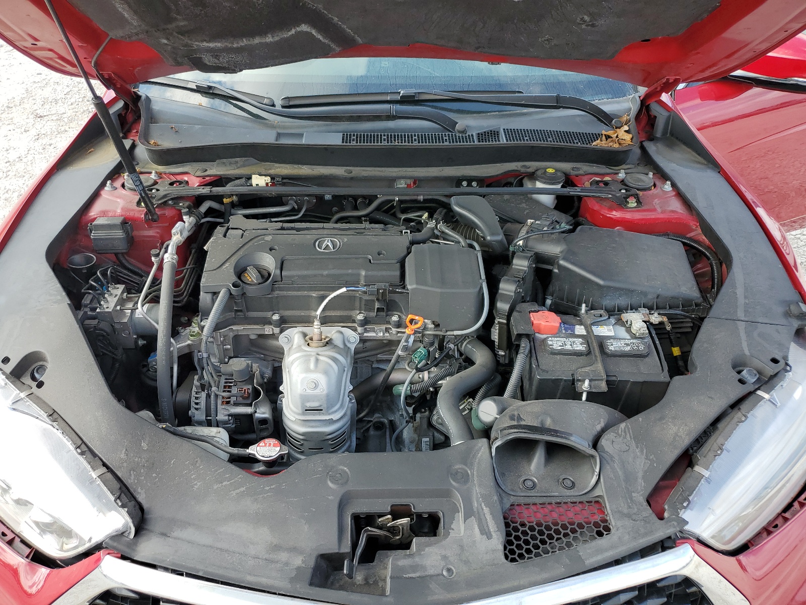 19UUB1F33KA008403 2019 Acura Tlx