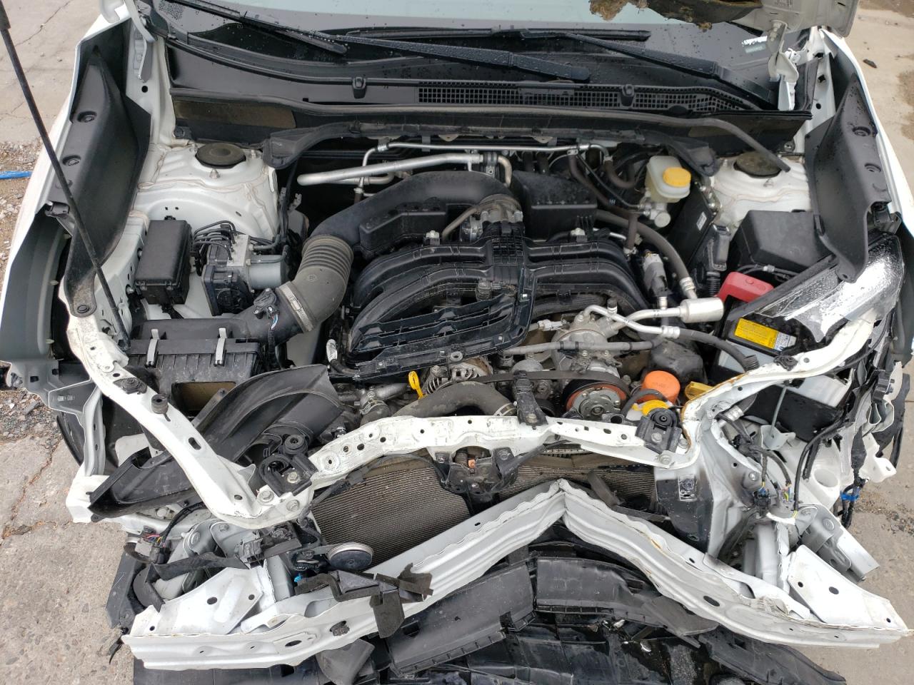 2020 Subaru Forester Limited VIN: JF2SKAUC5LH459335 Lot: 66871864