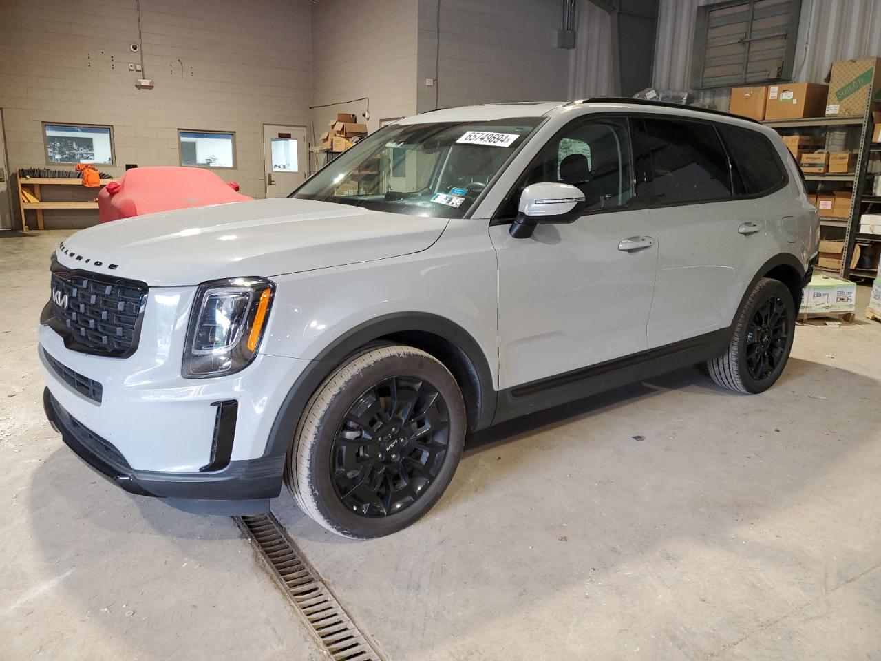 2022 Kia Telluride Ex VIN: 5XYP3DHC2NG291274 Lot: 65749694