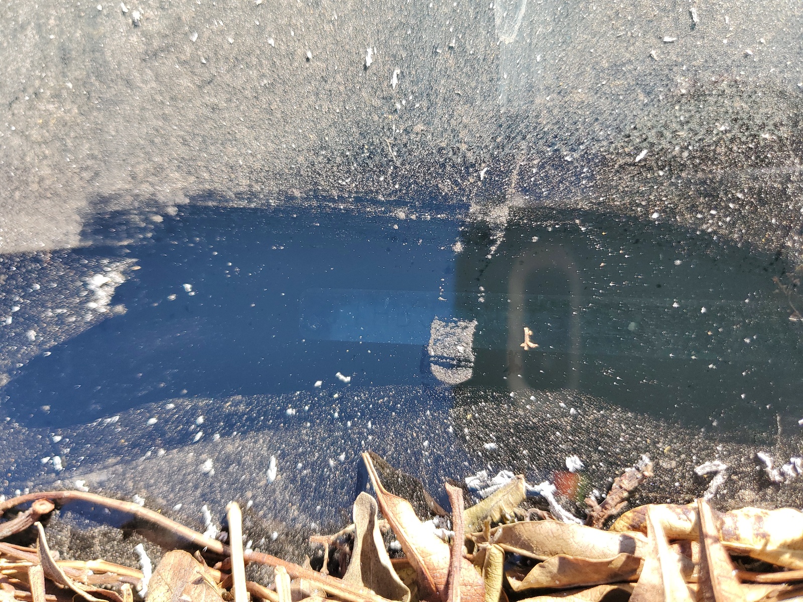 JTHBJ46G782236788 2008 Lexus Es 350