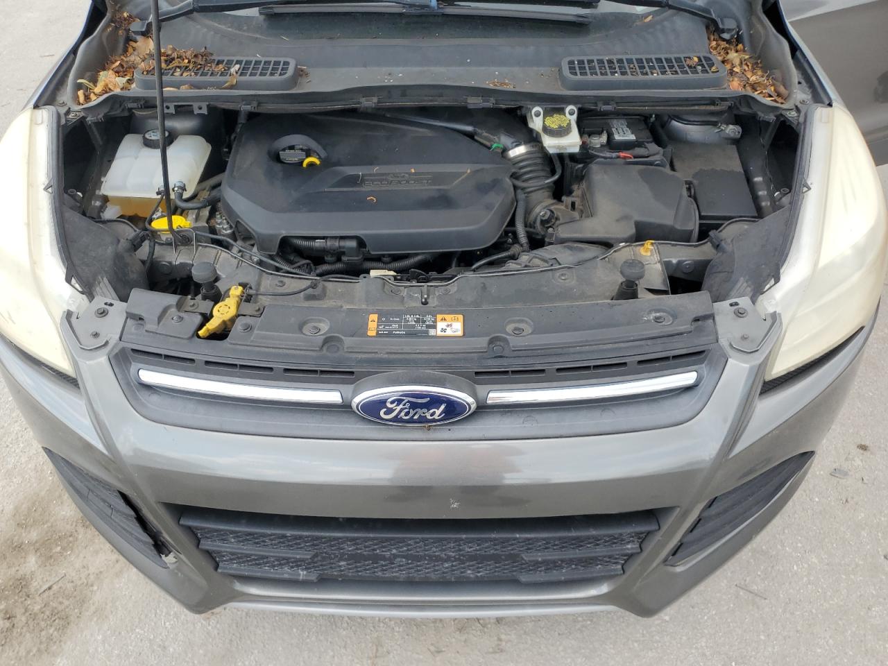 2014 Ford Escape Se VIN: 1FMCU0GX7EUD84942 Lot: 67204024