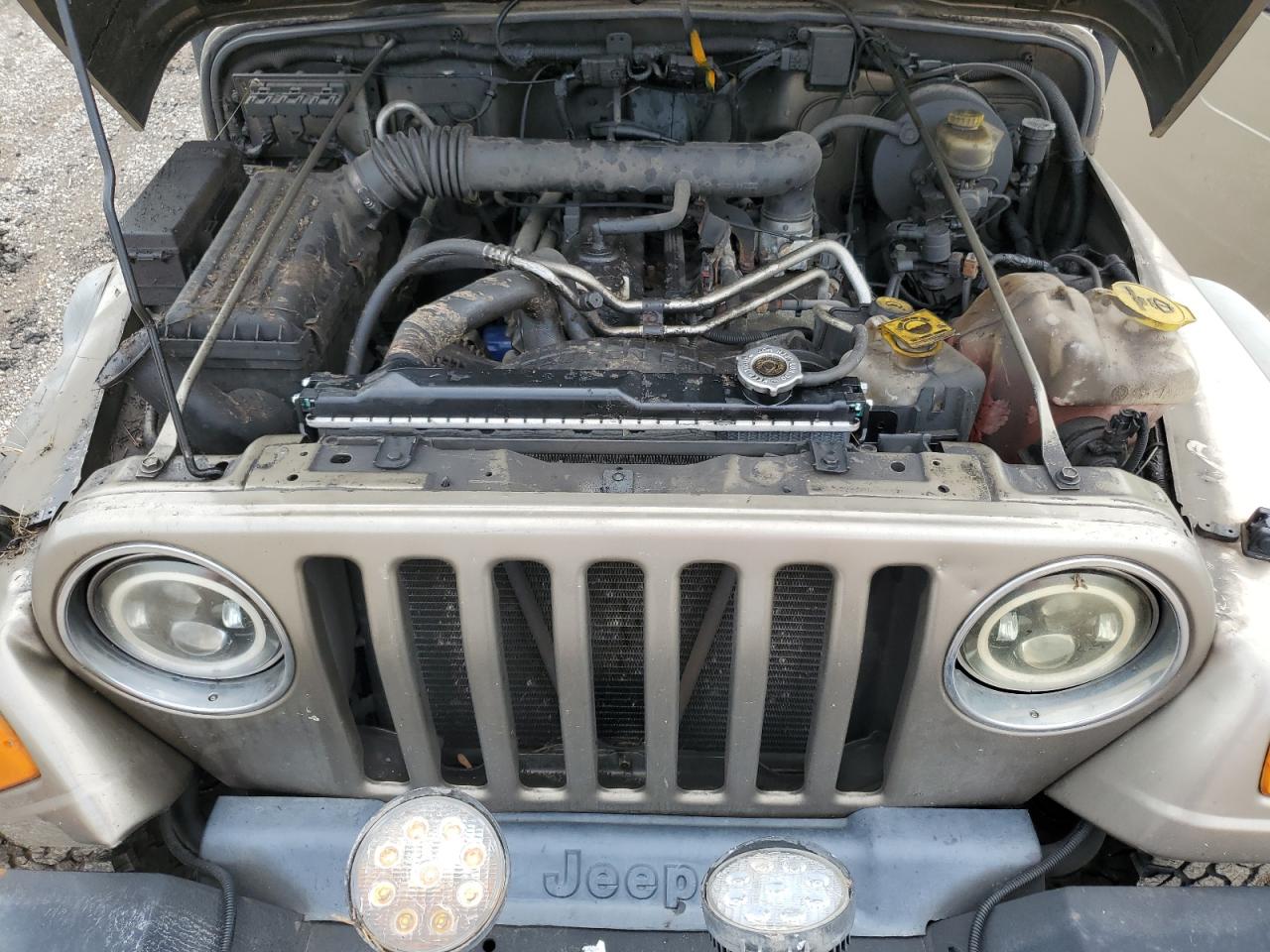 2004 Jeep Wrangler / Tj Sport VIN: 1J4FA49S94P754623 Lot: 65671614