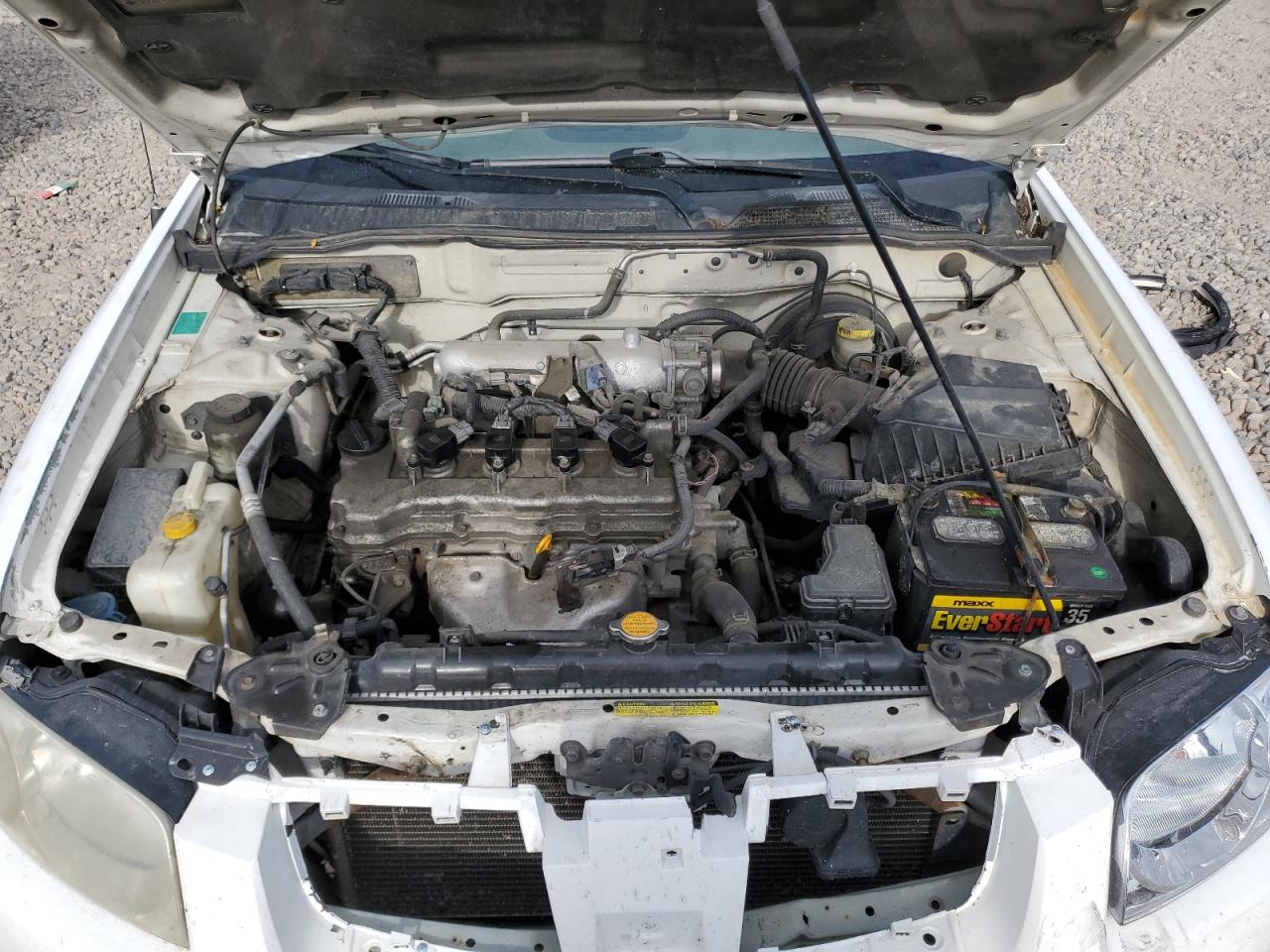 2004 Nissan Sentra 1.8 VIN: 3N1CB51D64L880140 Lot: 66990564