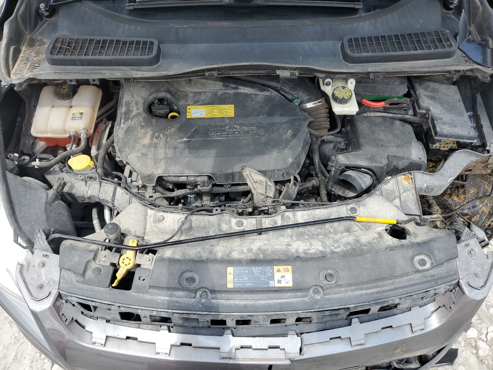 1FMCU9GX9DUD53775 2013 Ford Escape Se