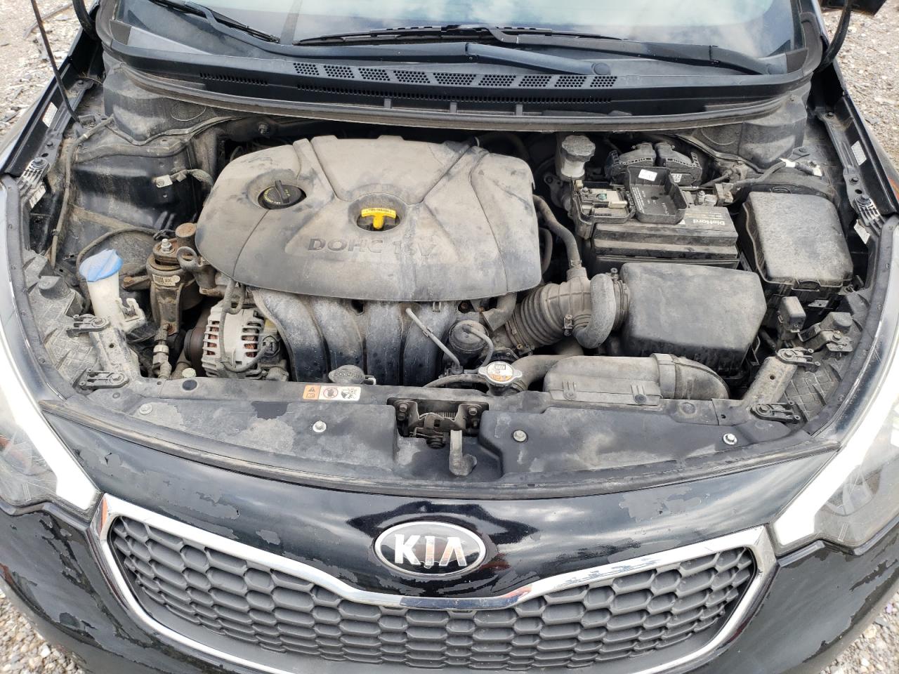 2016 Kia Forte Lx VIN: KNAFX4A69G5556012 Lot: 66388244