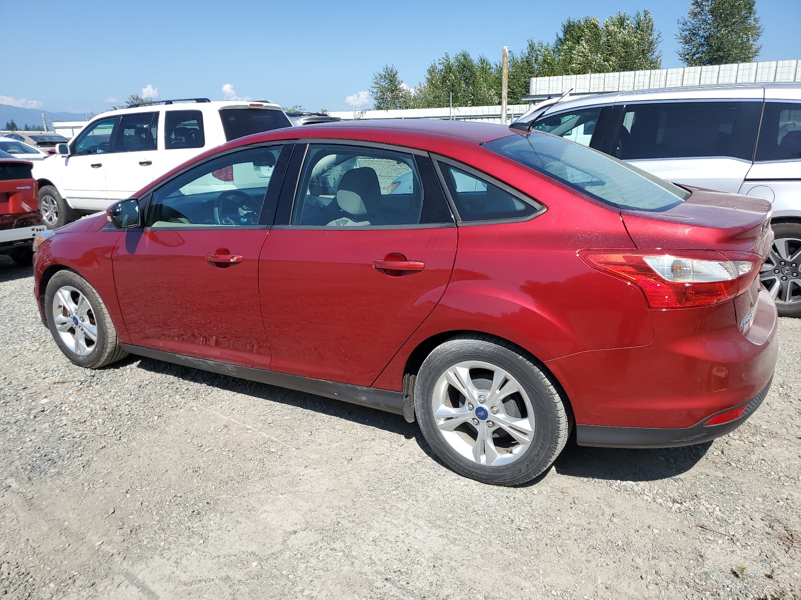 2014 Ford Focus Se vin: 1FADP3F28EL101449