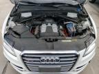 2014 Audi Sq5 Prestige იყიდება Littleton-ში, CO - Hail