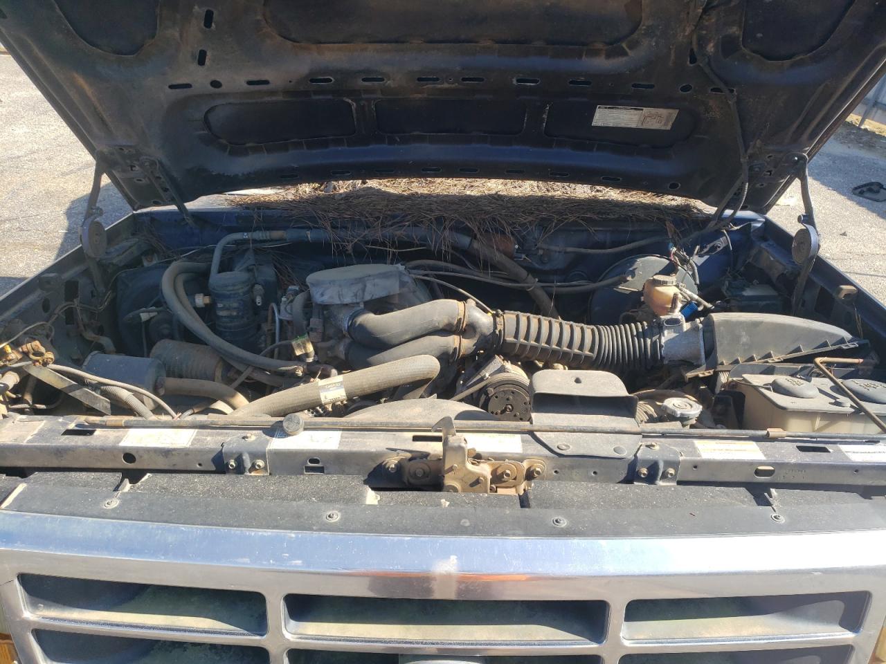 1FTEF15N1RNA89169 1994 Ford F150