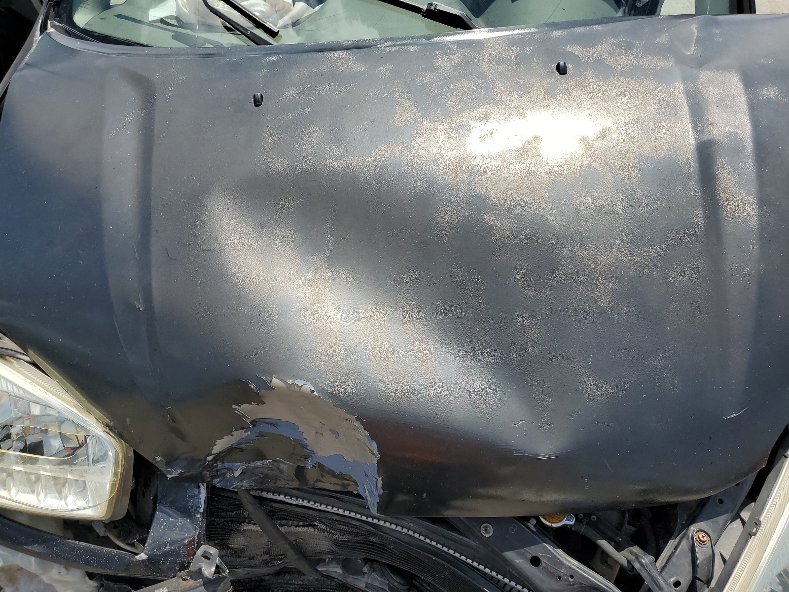 JTEGH20V830085975 2003 Toyota Rav4