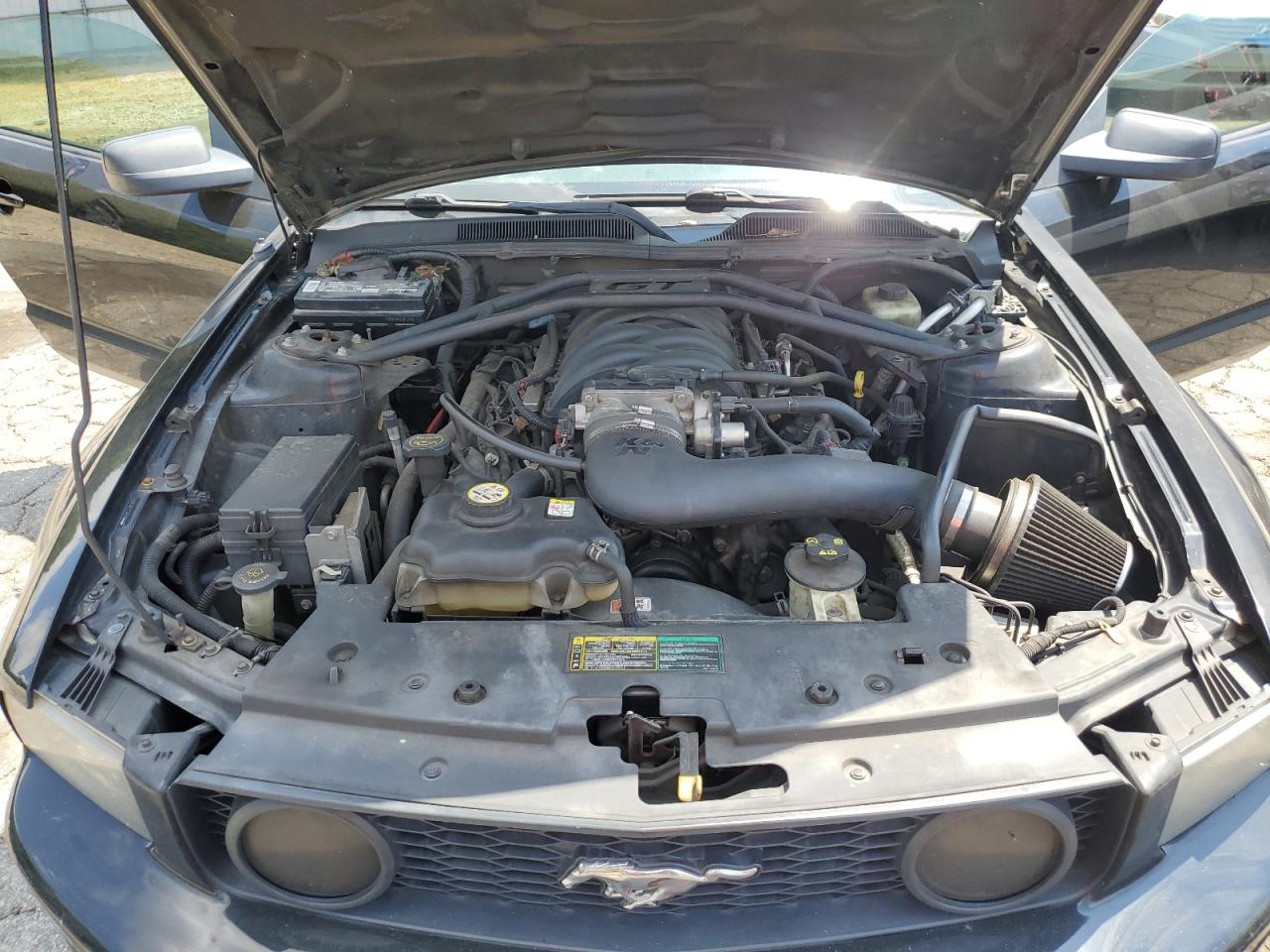 2006 Ford Mustang Gt VIN: 1ZVHT82H965103065 Lot: 66681154