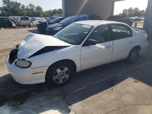 2005 Chevrolet Classic  للبيع في Fort Wayne، IN - Front End