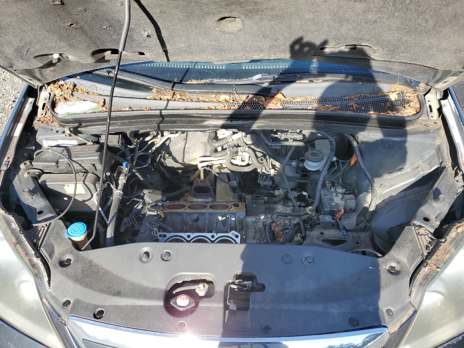 5FNRL38665B045557 2005 Honda Odyssey Exl