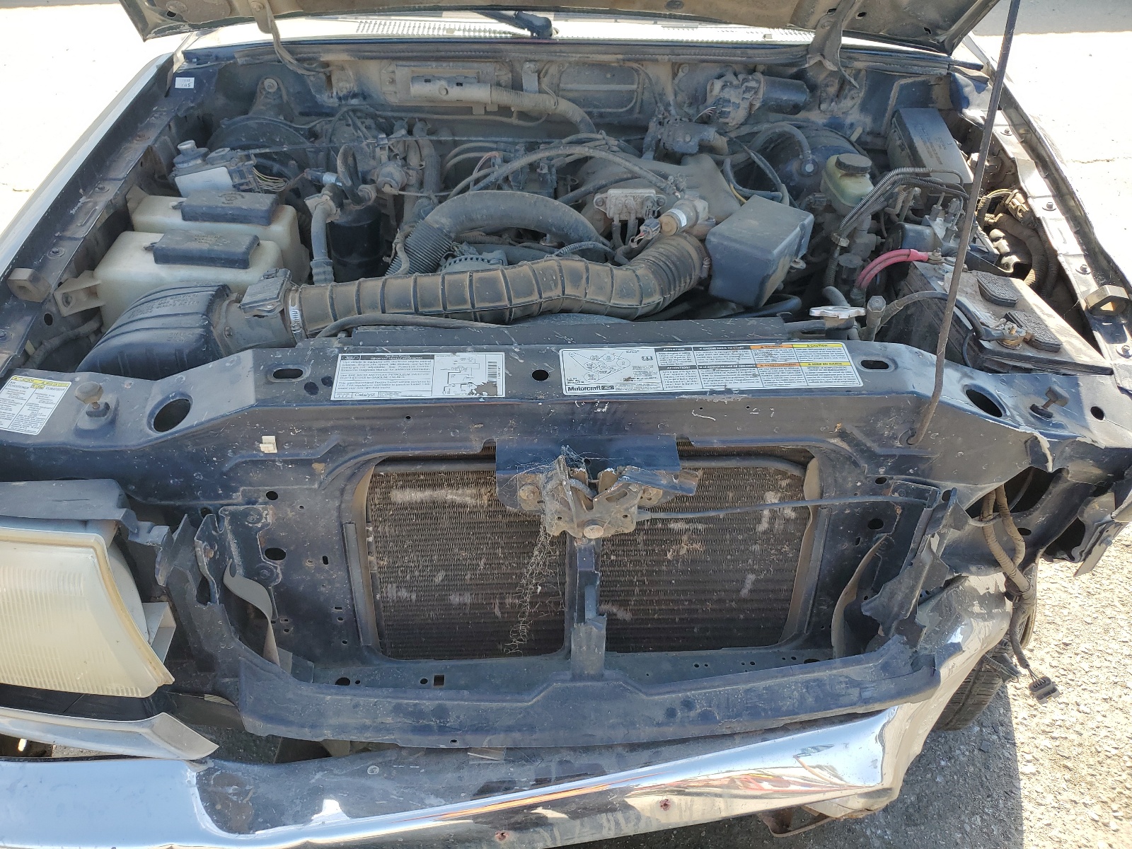 1FTYR14V8XTB03003 1999 Ford Ranger Super Cab