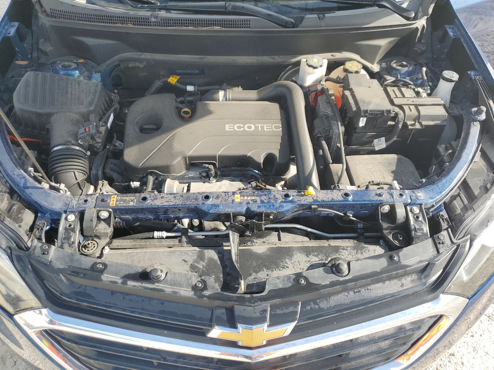 2GNAXTEV1K6278736 2019 Chevrolet Equinox Lt