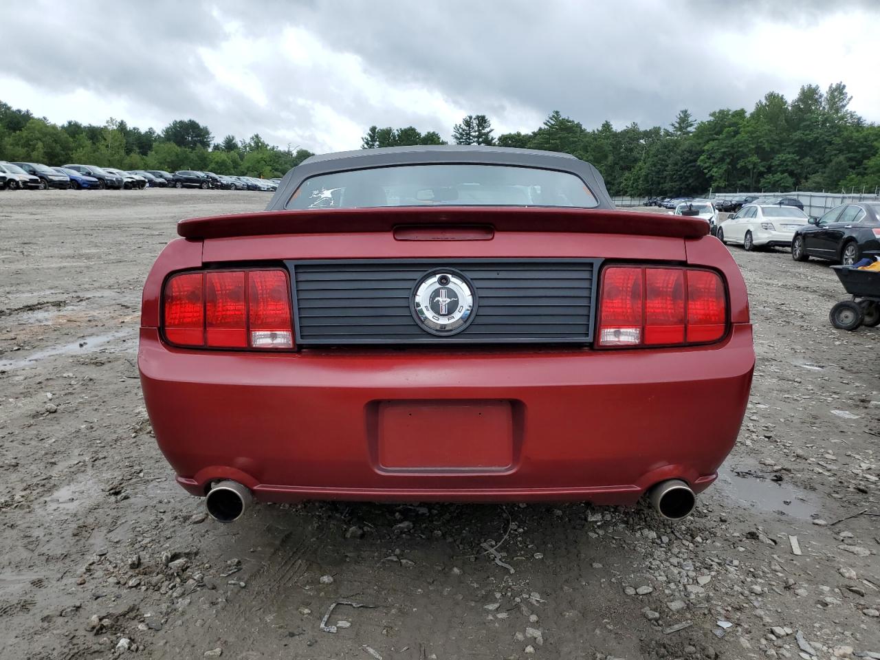 2009 Ford Mustang VIN: 1ZVHT84N695125662 Lot: 66569254