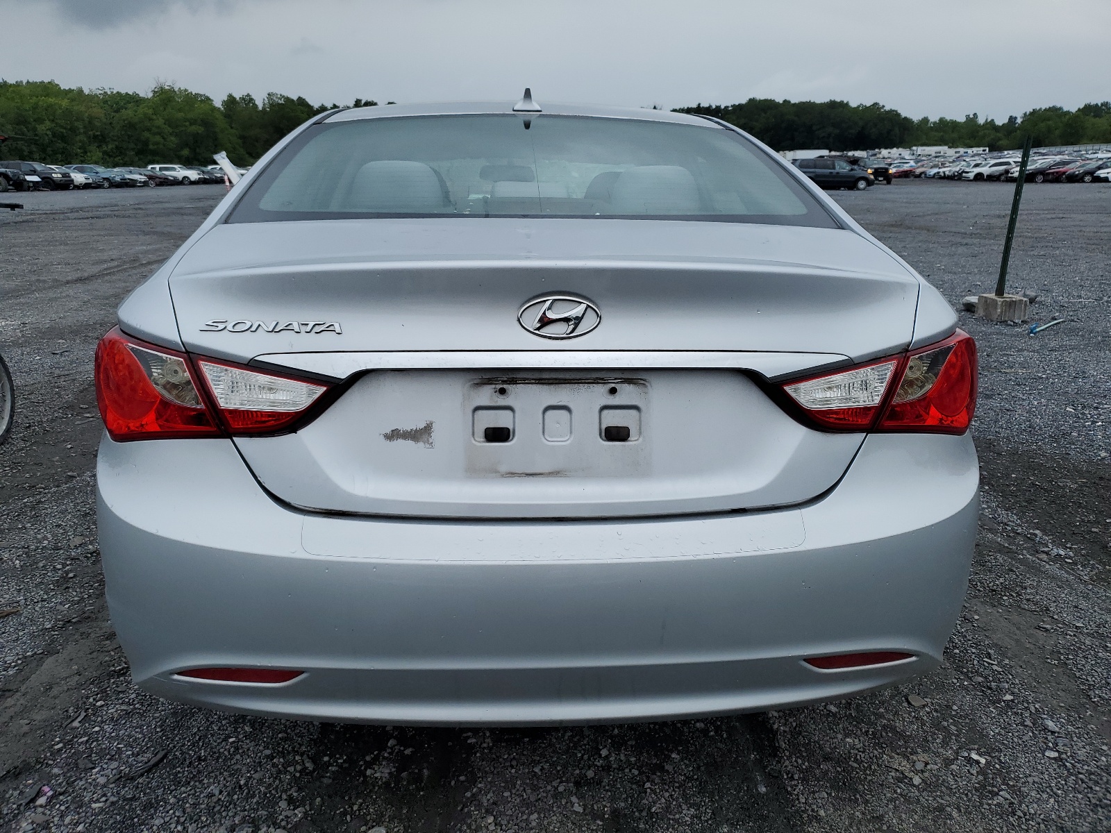 5NPEB4AC4DH731667 2013 Hyundai Sonata Gls