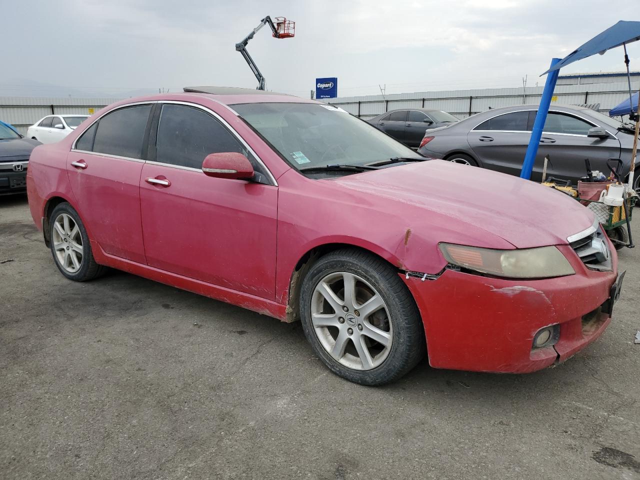 2005 Acura Tsx VIN: JH4CL96805C001207 Lot: 66124954