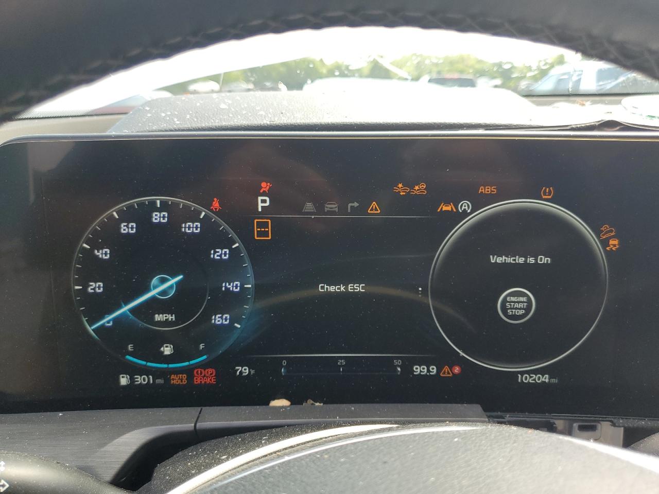 2024 Kia Telluride Sx VIN: 5XYP5DGC1RG448567 Lot: 64713225