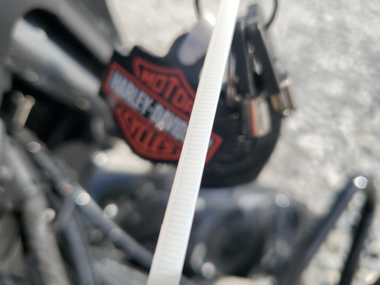 2024 Harley-Davidson Flhx VIN: 1HD1KB719RB623819 Lot: 70114005