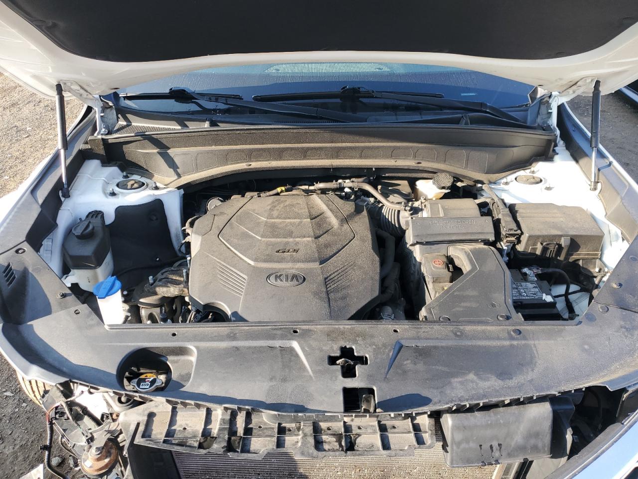 2020 Kia Telluride S VIN: 5XYP6DHCXLG023819 Lot: 67951205