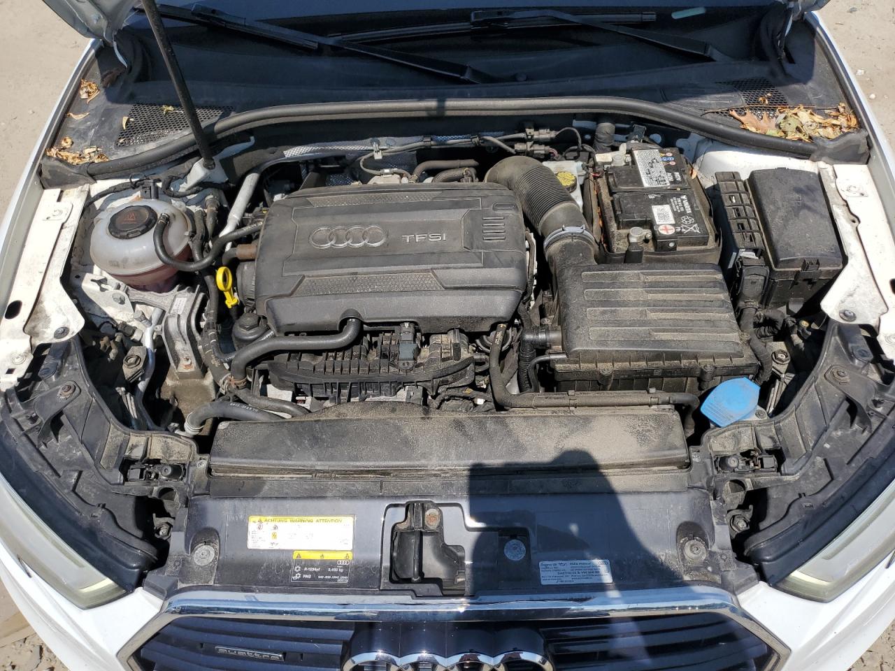 2019 Audi A3 Premium Plus VIN: WAUJEGFF4K1021213 Lot: 67597205