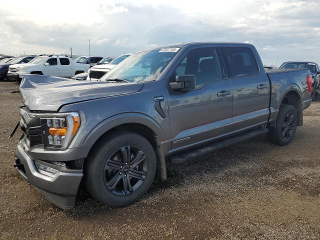  FORD F-150 2023 Szary