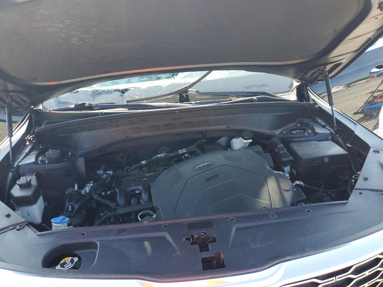 2021 Kia Telluride Sx VIN: 5XYP54HC7MG134364 Lot: 68093115