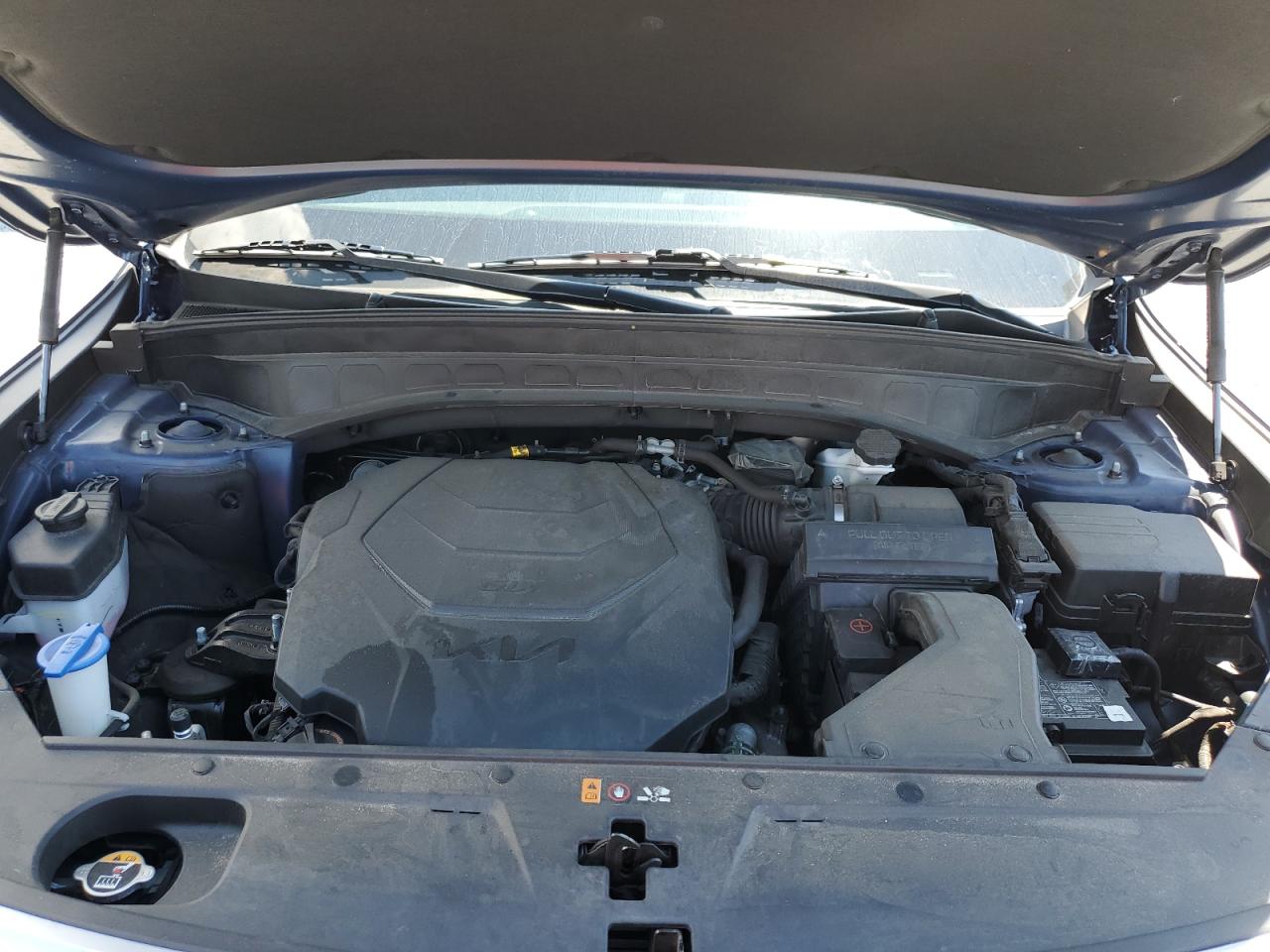 2024 Kia Telluride S VIN: 5XYP64GC0RG464093 Lot: 70232685