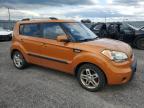 2011 KIA SOUL +   for sale at Copart ON - OTTAWA