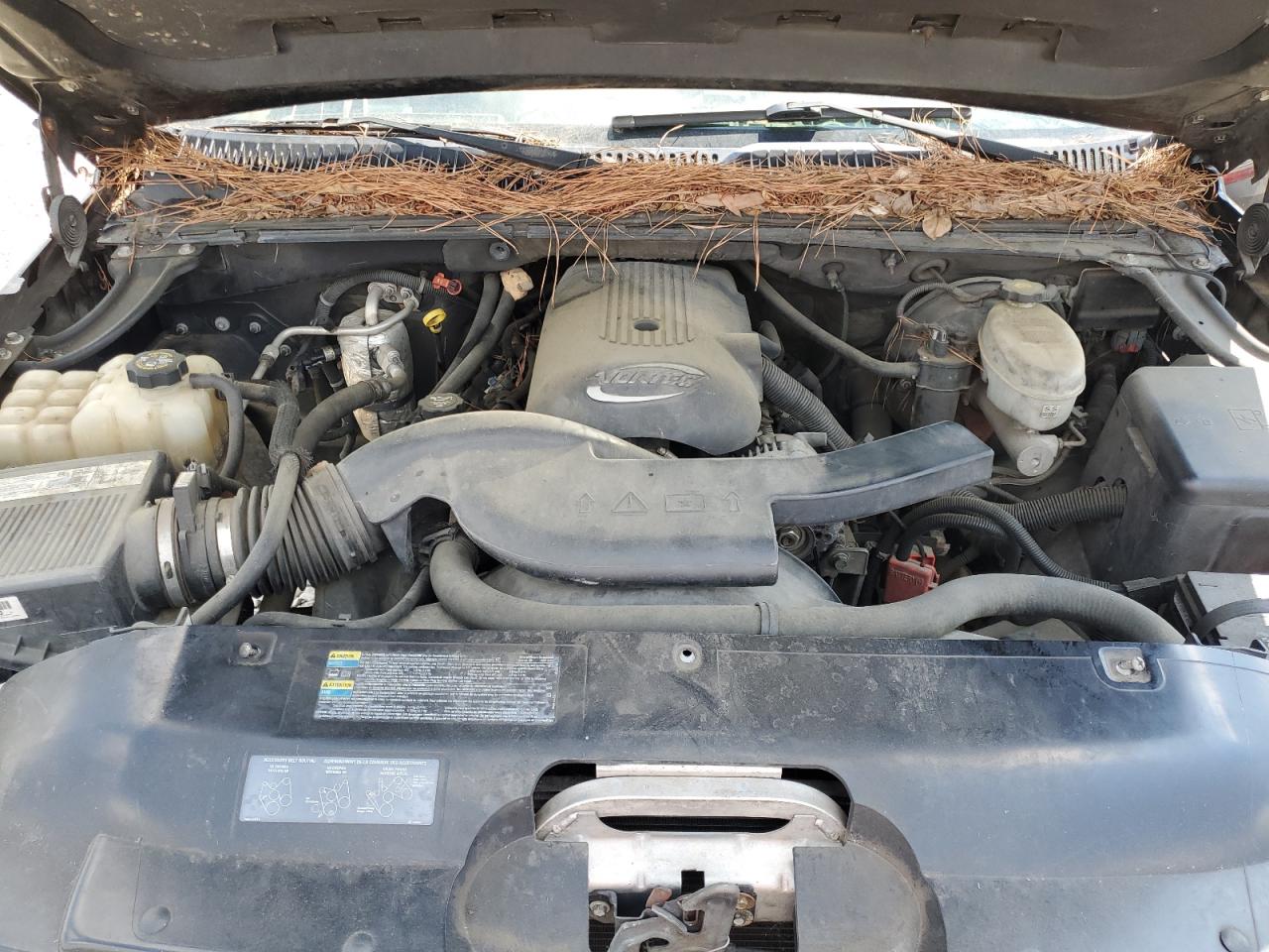 2003 Chevrolet Avalanche C1500 VIN: 3GNEC13T13G126898 Lot: 67583715