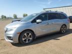 2019 HONDA ODYSSEY EX   à vendre chez Copart AB - CALGARY
