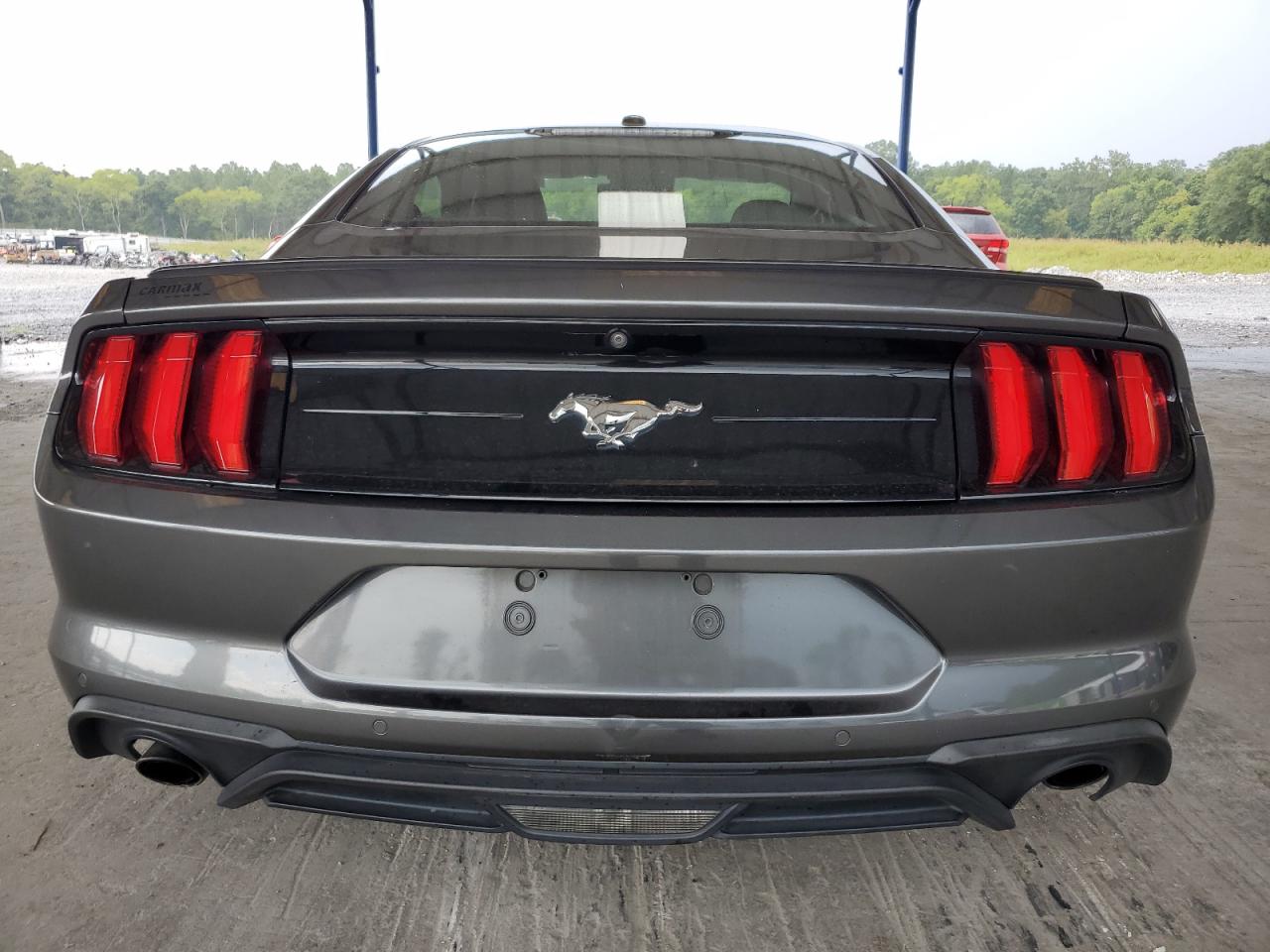 2019 Ford Mustang VIN: 1FA6P8TH4K5141171 Lot: 69741735