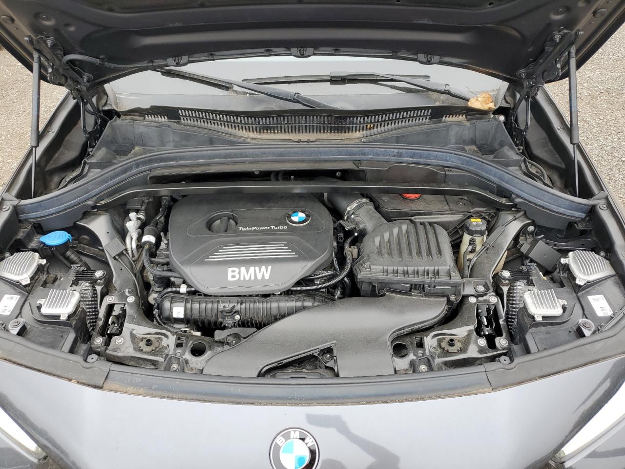 Фото: WBXYJ5C36JEF75278