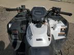 2025 KAWASAKI KVF450 BRUTE FORCE 4X4 for sale at Copart AB - CALGARY