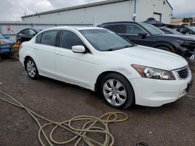 2010 HONDA ACCORD EXL  