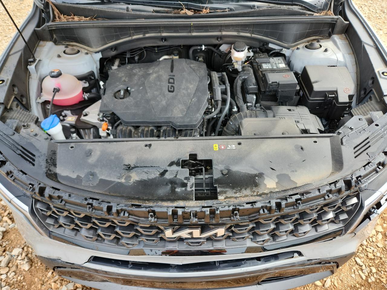 2023 Kia Sorento S VIN: 5XYRLDLCXPG165747 Lot: 70347825