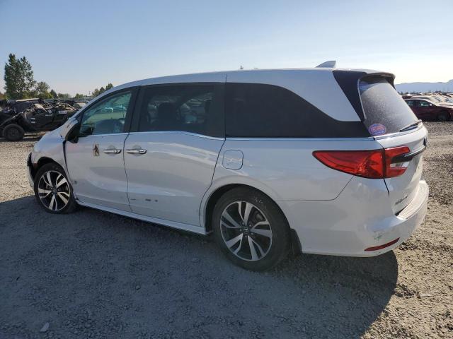  HONDA ODYSSEY 2021 Белы