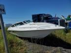 2000 FOUNTAIN BOAT - BOATS BOAT à vendre chez Copart QC - MONTREAL