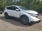 2018 HONDA CR-V EXL   à vendre chez Copart ON - COOKSTOWN