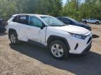 2021 TOYOTA RAV4 XLE   for sale at Copart ON - COOKSTOWN